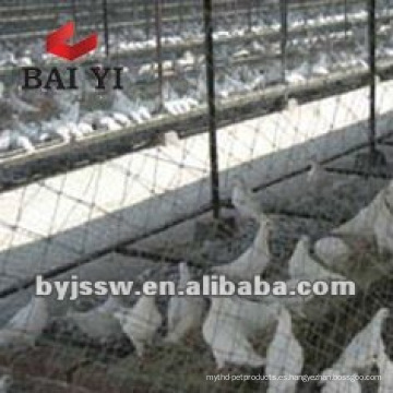 Racing Pigeon Breeding Cage